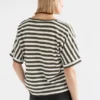 Seter T-shirt Seter T-shirt